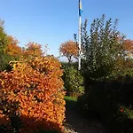 Zwergmoewe In Neue Tiefe By Interhome