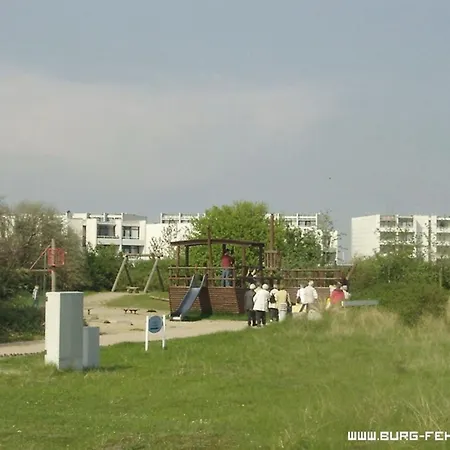 Zwergmoewe In Neue Tiefe By Interhome * Neue Tiefe Fehmarn