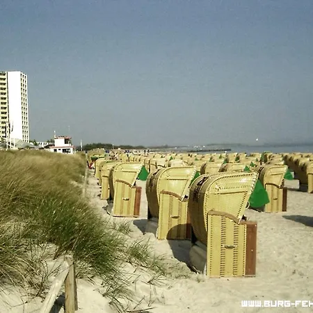 Zwergmoewe In Neue Tiefe By Interhome Apartamento *