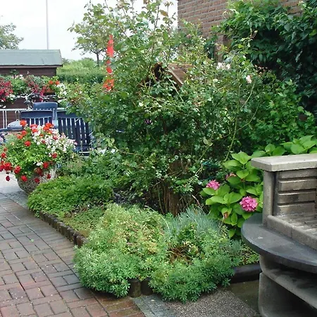 Zwergmoewe In Neue Tiefe By Interhome * Neue Tiefe Fehmarn