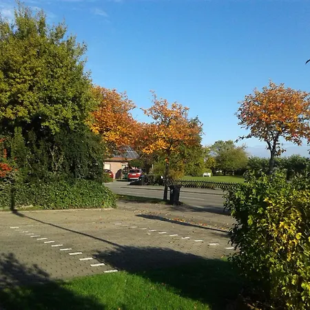 Zwergmoewe In Neue Tiefe By Interhome * Neue Tiefe Fehmarn