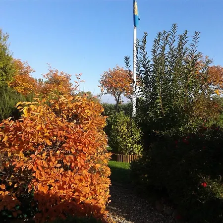 Zwergmoewe In Neue Tiefe By Interhome