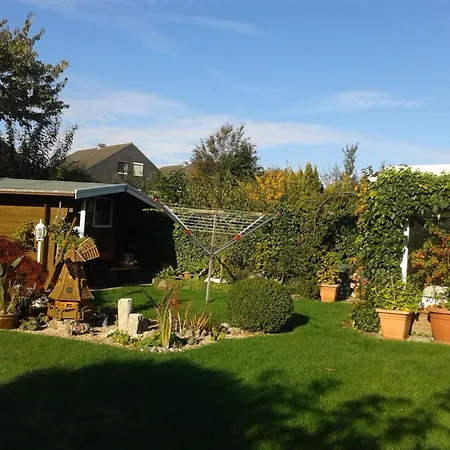 Zwergmoewe In Neue Tiefe By Interhome