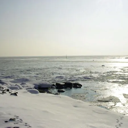 Zwergmoewe In Neue Tiefe By Interhome * Neue Tiefe Fehmarn