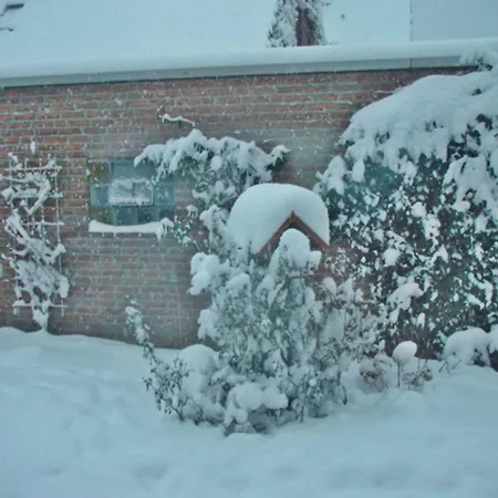 Zwergmoewe In Neue Tiefe By Interhome *