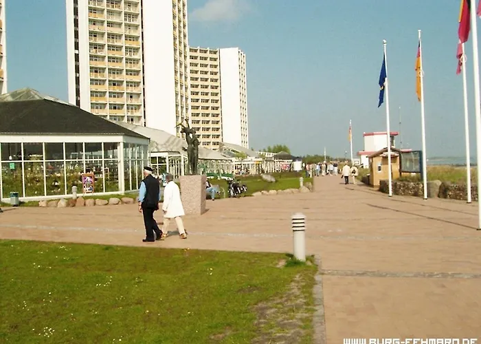 Zwergmoewe In Neue Tiefe By Interhome *