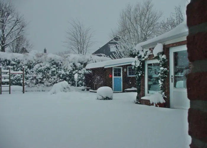 Zwergmoewe In Neue Tiefe By Interhome Apartamento Neue Tiefe Fehmarn